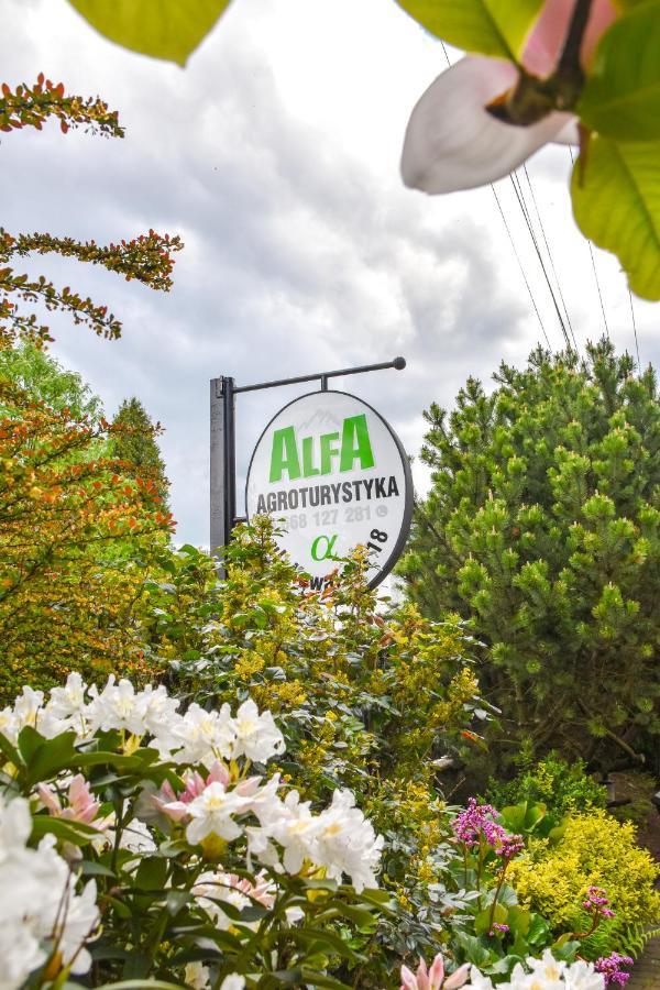 Agroturystyka Alfa Bystra  Eksteriør billede